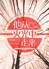 他从火光中走来全文免费阅读